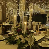 ریسه 25 متری 80 آویز نامنظم رسید