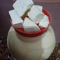 پنیرگوسفندی