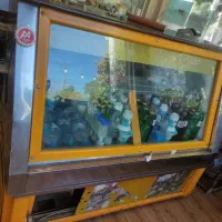 یخچال ویترینی