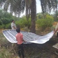 کارگر باغ شبانه روزی تو باغ باشه