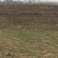 نگهبانی زمین کشاورزی زی|استخدام سرایداری و نظافت|آق قلا, |دیوار
