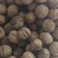 گردو محلی و اخته زغال|خوردنی و آشامیدنی|قزوین, |دیوار