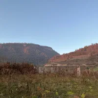 فروش فوری زمین1000متری  تو ساری منطقه دودانگه|فروش زمین و ملک کلنگی|فریم, |دیوار