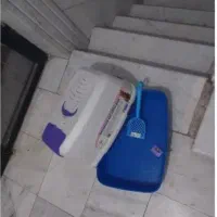 وسایل بچه گربه