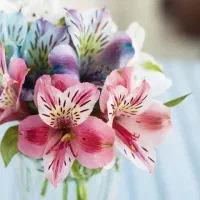 نگهبان گلخانه گل|استخدام سرایداری و نظافت|ورامین, ورامین|دیوار