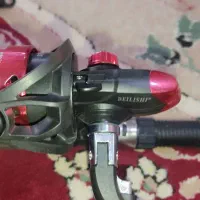 لنسر ماهیگیری|ماهیگیری|دوگنبدان, |دیوار