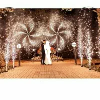 مراسم عروسی اجرای اتش بازی سرد و تفنگ گانco2