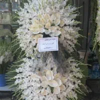 تاج گل طبیعی ایستاده و بلند طبقاتی و گرد|گل و گیاه طبیعی|تهران, جردن|دیوار