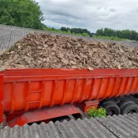 ققنوس کودمرغی|خدمات باغبانی و درختکاری|کرمان, |دیوار