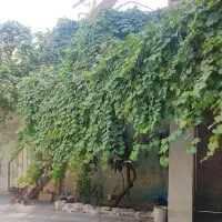 فروش کلنگی مناسب ساخت دوبلکس