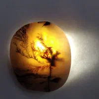 سنگ شجر سوزنی|کلکسیون اشیاء عتیقه|کرمانشاه, |دیوار