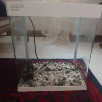 آکواریوم