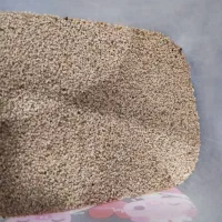 بذر مخصوص شاهیوند|گل و گیاه طبیعی|خرم‌آباد, |دیوار