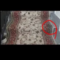 گلیم فرش  پله با کناره