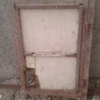 در کله کبوتر