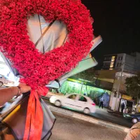 نیرو همکار و فروشنده خانم|استخدام بازاریابی و فروش|کرمان, |دیوار