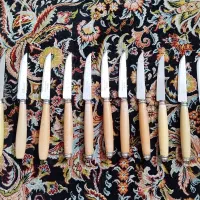 کارد میوه خوری|ظروف سرو و پذیرایی|تهران, بهداشت|دیوار