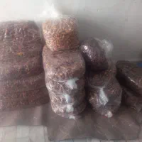 خرما|خوردنی و آشامیدنی|داراب, |دیوار