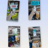 فروش لوازم سگ