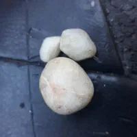 سنگ قدمتی و با ارزش  فروش فقط فقط ب دلیل نیاز مالی