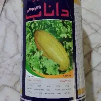 بذر خربزه داناب دکترسبحانی