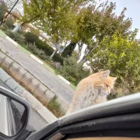 وام خیلی ضروری همین امروز