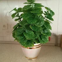 گل مصنوعی
