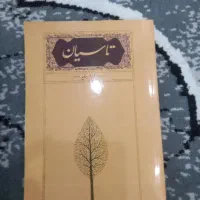 کتاب|کتاب و مجله تاریخی|رشت, پل تالشان|دیوار