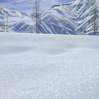 نیروی زوج یا خانم برای نظافت