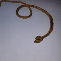 مار دست دوز قدیمی (تسبیح)|کلکسیون اشیاء عتیقه|خسروشاه, |دیوار