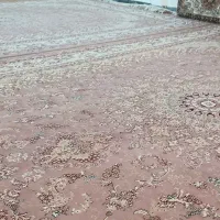 فرش ۱۲ متری|فرش|فردوسیه, |دیوار