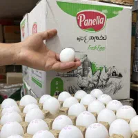 تخم مرغ دُرشت پانلا پخش ژیان پور|خوردنی و آشامیدنی|شوشتر, |دیوار