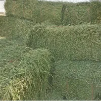 یونجه پرس شده درجه ۱