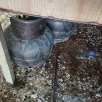 پیکنیک کوچک