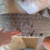 فروش لاستیک زاپاس|قطعات یدکی و لوازم جانبی|ارسنجان, |دیوار