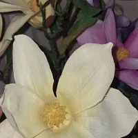 تزئینی|گل مصنوعی|بندر انزلی, صابرحنان|دیوار