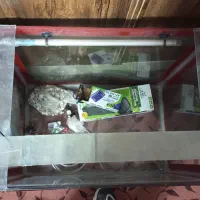 آکواریم سالم بزرگ|ماهی|یزد, |دیوار