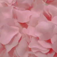 فروشانوعاقسامگلهایکریستالیورنگهاوگلدونمیرسد|گل مصنوعی|بندرعباس, |دیوار