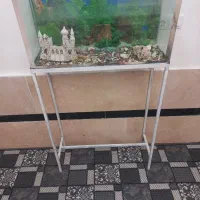 اکواریوم  ماهی