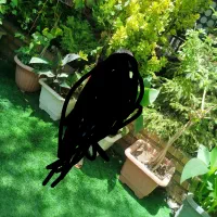 نضافت و تمیز کاری ورنگ امیزی