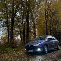 ۲۰۶ مدل ۸۵ سالم