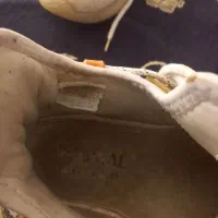 کفش|کیف، کفش، کمربند|صحنه, |دیوار