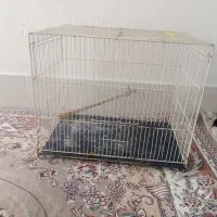 اساس قفسی طبق تصویر  فقط 100تومن