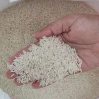 برنج محلی سر الک