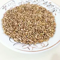 فروش بذر اسپرس ( خشه دنی )
