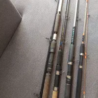 لنسر ماهیگیری