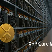 تتر رایگان فرصت محدود