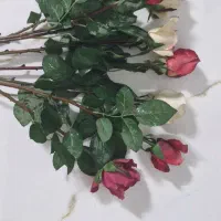 گل مصنوعی|گل مصنوعی|بجنورد, |دیوار