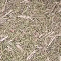 خار دانه دار|لوازم جانبی حیوانات|تربت جام, معدآباد|دیوار