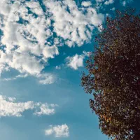 خانه ویلایی ۳۵۰متری درپیشوا